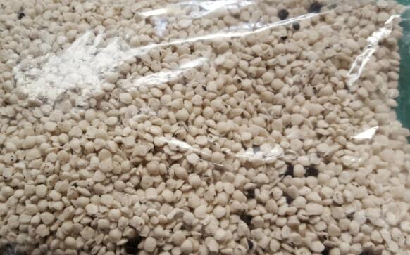 ��(f��)�ϷʔD���w��