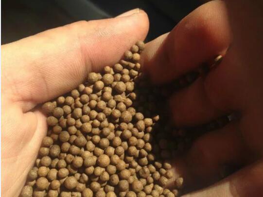 Ģ�������׽ն�ţ�S�ЙC(j��)���w��