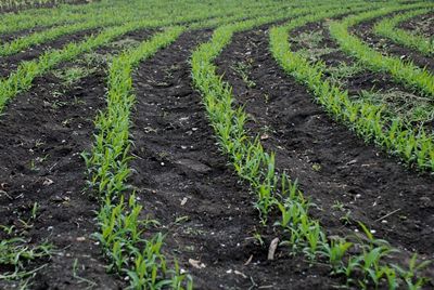 �ЙC�����О�ʲôҪ����΢�����������̎����Щ��