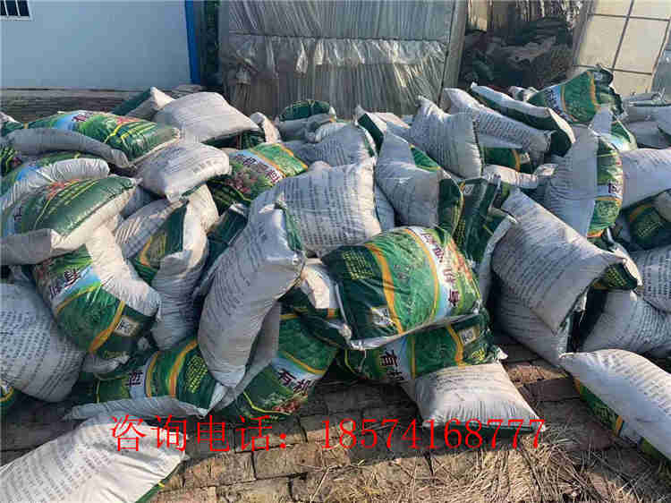 顆粒有機(jī)肥料現(xiàn)場(chǎng)見(jiàn)證